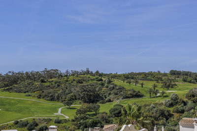 roof top view.jpg