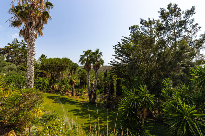 Image No.53-5 Bed Villa for sale