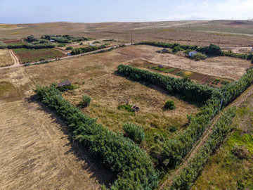 drone view (4).jpg