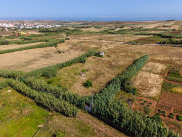 drone view (3).jpg
