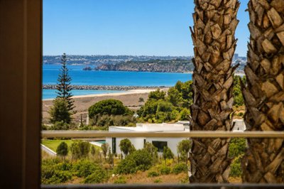 view (1).jpg