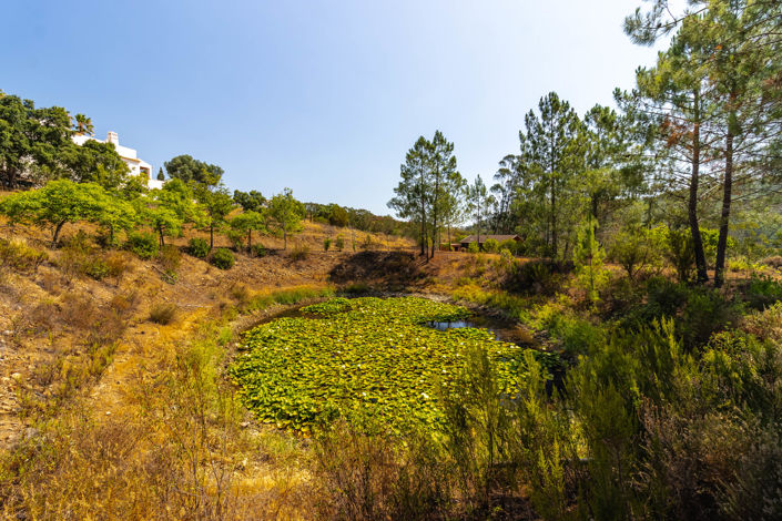 Image No.59-4 Bed Villa for sale