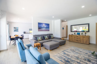 Living area _a (1).jpg