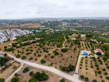 drone view (1).jpg