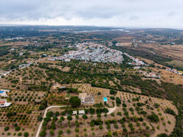 drone view (4).jpg
