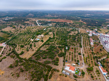 drone view (7).jpg