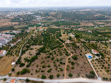 drone view (6).jpg