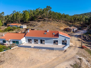 drone view (6).jpg