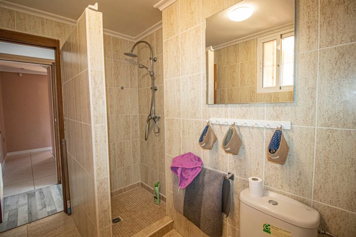 Image No.25-Propriété de pays de 5 chambres à vendre à Albatera