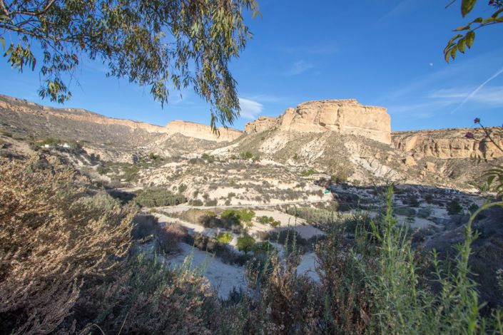 Image No.38-Propriété de pays de 5 chambres à vendre à Crevillente
