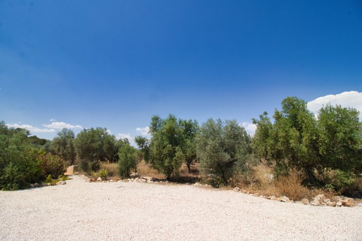 Image No.43-5 Bed Country Property for sale