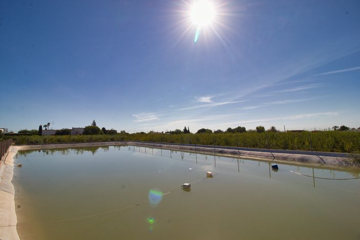 Image No.35-Propriété de pays de 4 chambres à vendre à Alicante City
