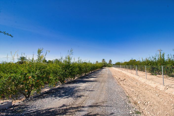 Image No.37-Propriété de pays de 4 chambres à vendre à Alicante City