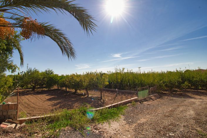 Image No.34-Propriété de pays de 4 chambres à vendre à Crevillente