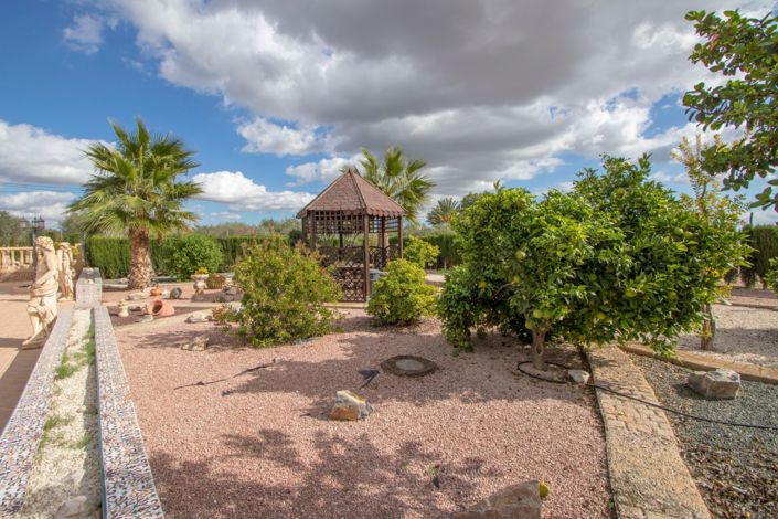 Image No.42-Propriété de pays de 4 chambres à vendre à Crevillente