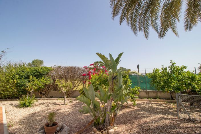 Image No.30-Propriété de pays de 3 chambres à vendre à Albatera