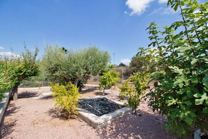 Image No.30-3 Bed Country Property for sale