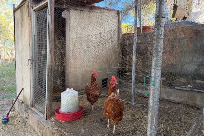 Image No.36-3 Bed Country Property for sale