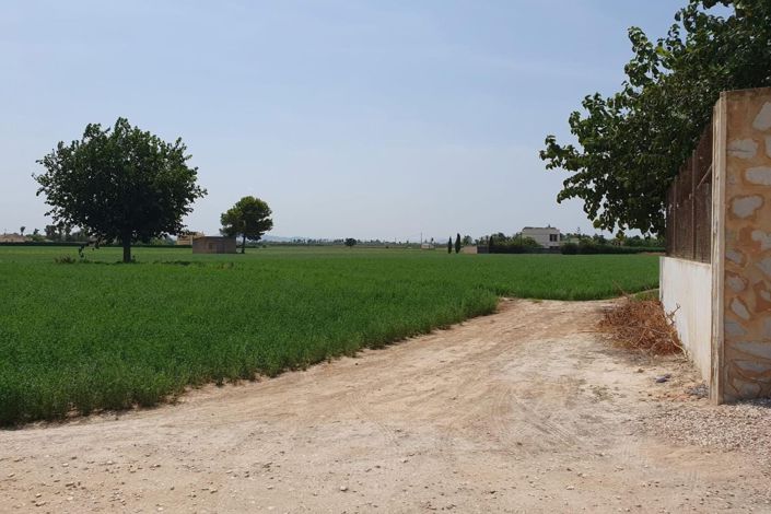 Image No.29-Propriété de pays de 3 chambres à vendre à Catral