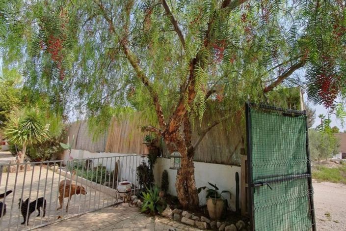 Image No.30-Propriété de pays de 3 chambres à vendre à Catral