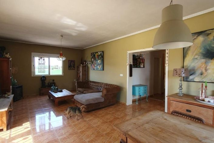 Image No.8-Propriété de pays de 3 chambres à vendre à Catral