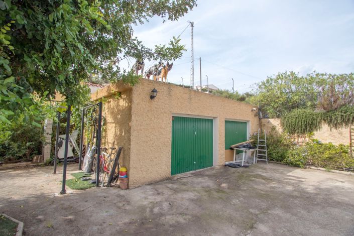 Image No.26-Propriété de pays de 3 chambres à vendre à Crevillente