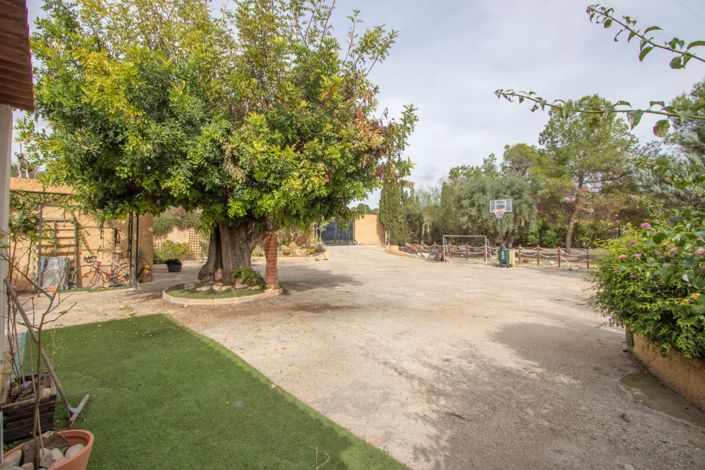 Image No.4-Propriété de pays de 3 chambres à vendre à Crevillente