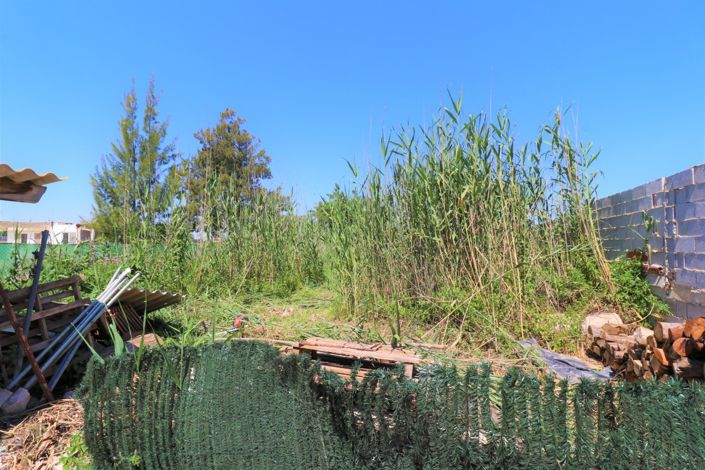 Image No.35-Propriété de pays de 3 chambres à vendre à Dolores