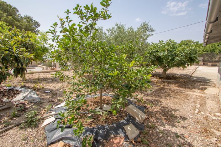 Image No.14-3 Bed Country Property for sale