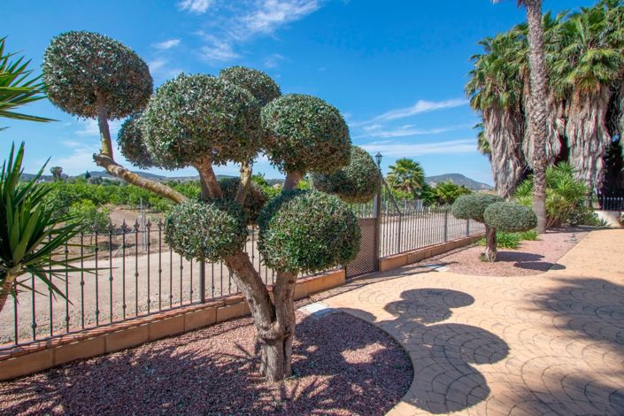 Image No.12-Propriété de pays de 5 chambres à vendre à Orihuela