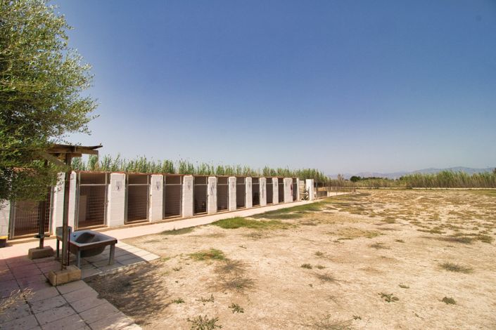 Image No.47-5 Bed Country Property for sale