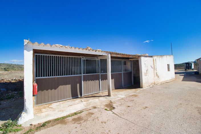 Image No.24-Propriété de pays de 2 chambres à vendre à Monóvar