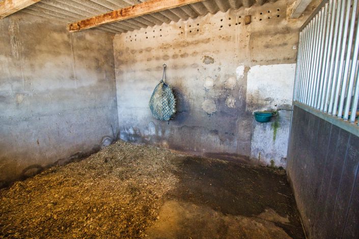 Image No.25-Propriété de pays de 2 chambres à vendre à Monóvar