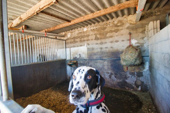 Image No.27-Propriété de pays de 2 chambres à vendre à Monóvar
