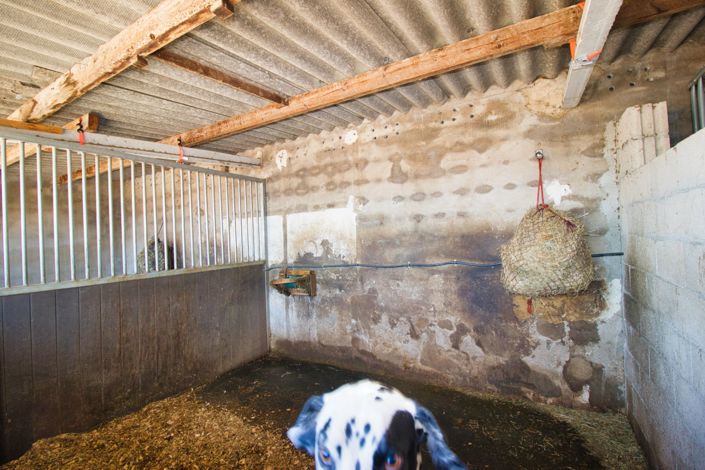 Image No.26-Propriété de pays de 2 chambres à vendre à Alicante City