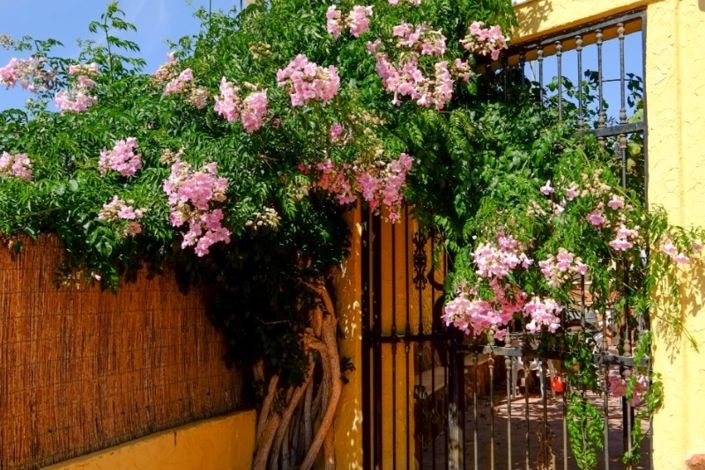 Image No.19-6 Bed Country Property for sale