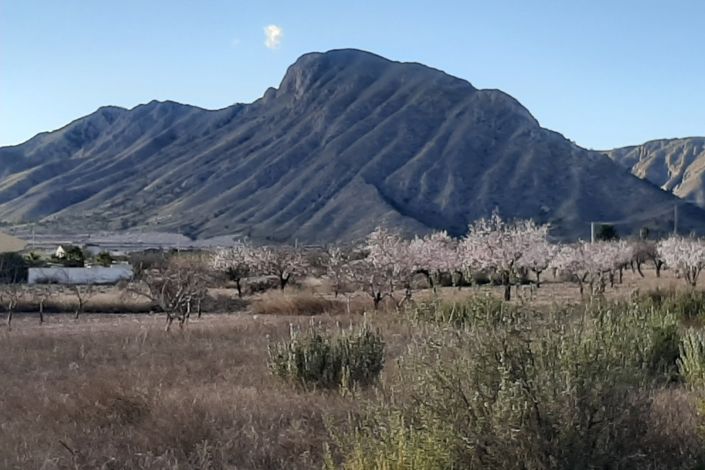 Image No.11-6 Bed Country Property for sale