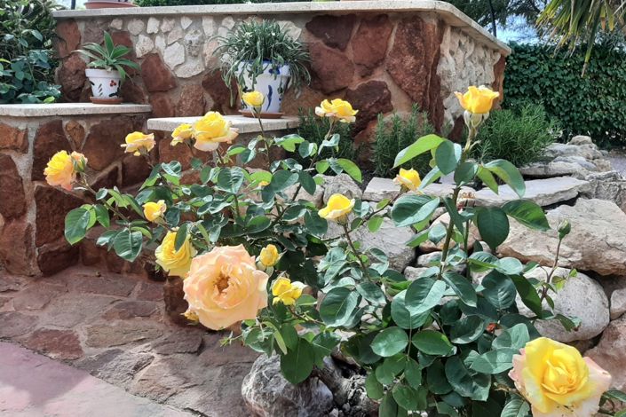 Image No.26-6 Bed Country Property for sale