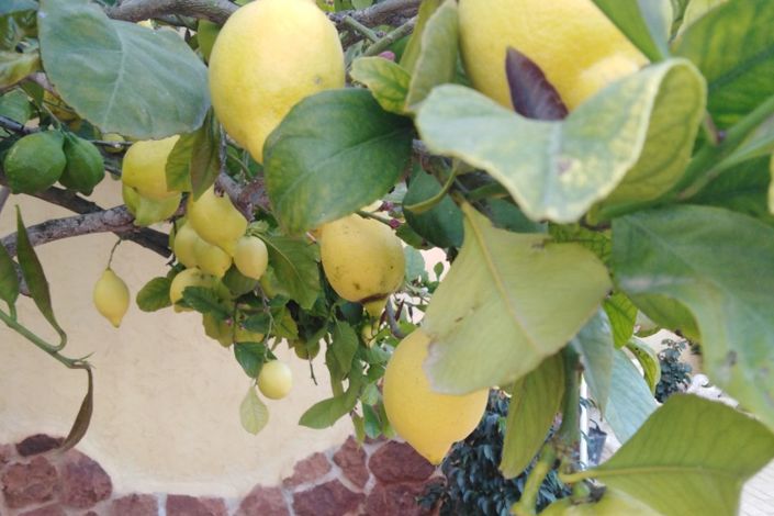 Image No.27-6 Bed Country Property for sale