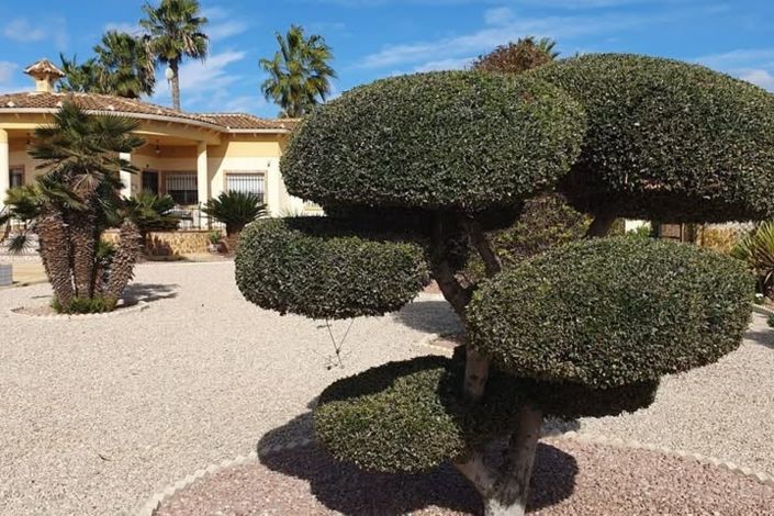 Image No.4-4 Bed Country Property for sale