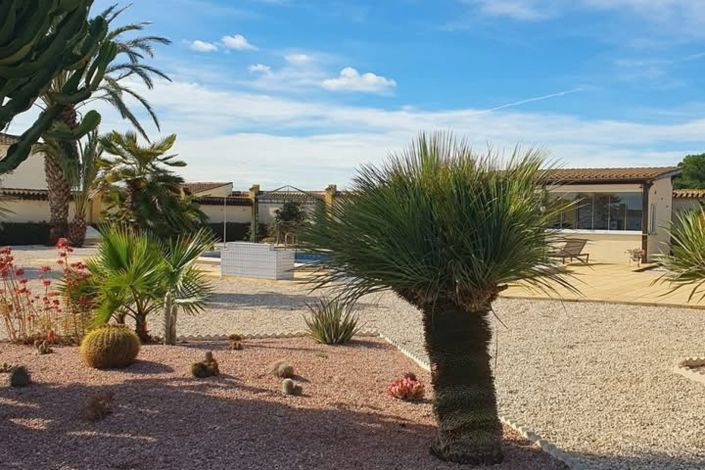 Image No.35-Propriété de pays de 4 chambres à vendre à Catral