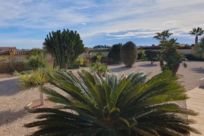 Image No.41-Propriété de pays de 4 chambres à vendre à Catral