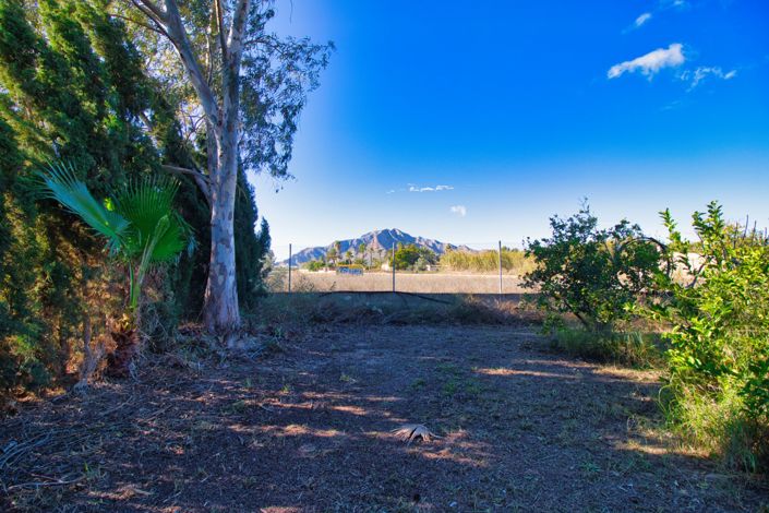 Image No.39-3 Bed Country Property for sale