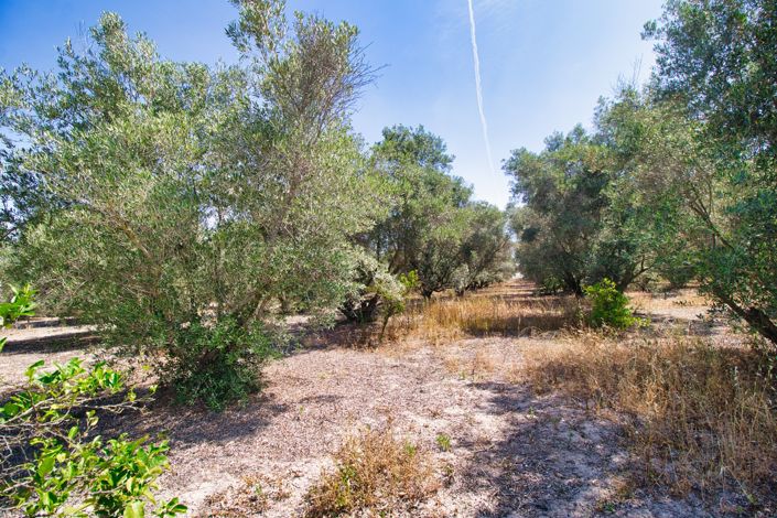 Image No.33-3 Bed Country Property for sale