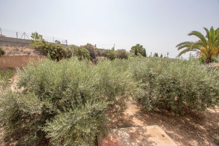 Image No.10-3 Bed Country Property for sale