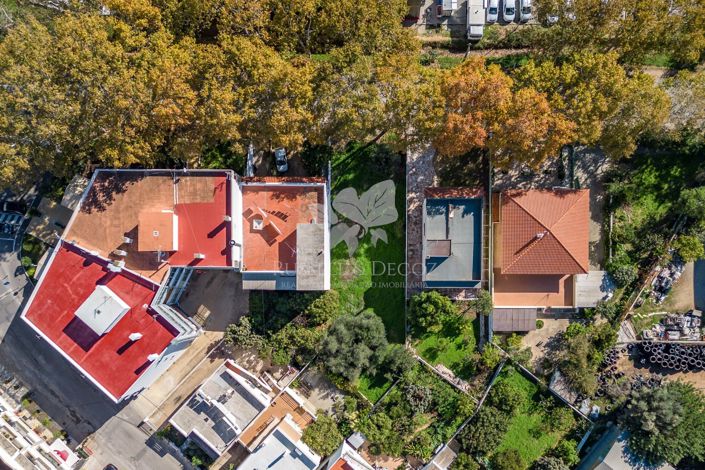 Image No.2-Terre à vendre à Moncarapacho