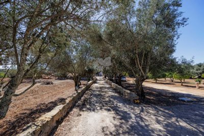 1846-3017-22d7cc4f9b9a2288cc68ad0c58d0b222388