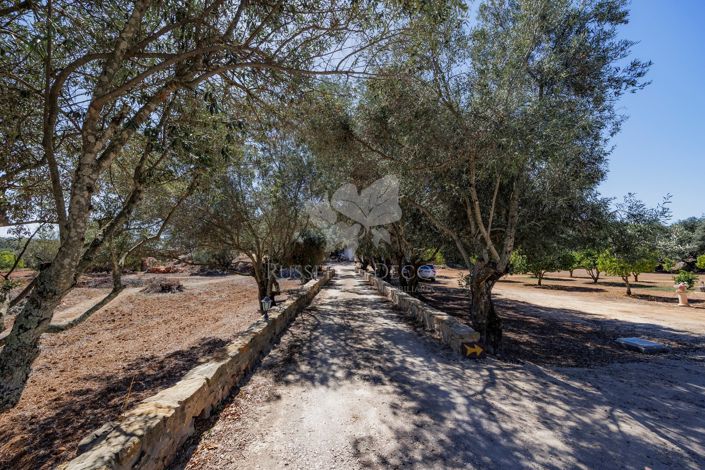 Image No.2-Ferme de 3 chambres à vendre à Santa Bárbara de Nexe
