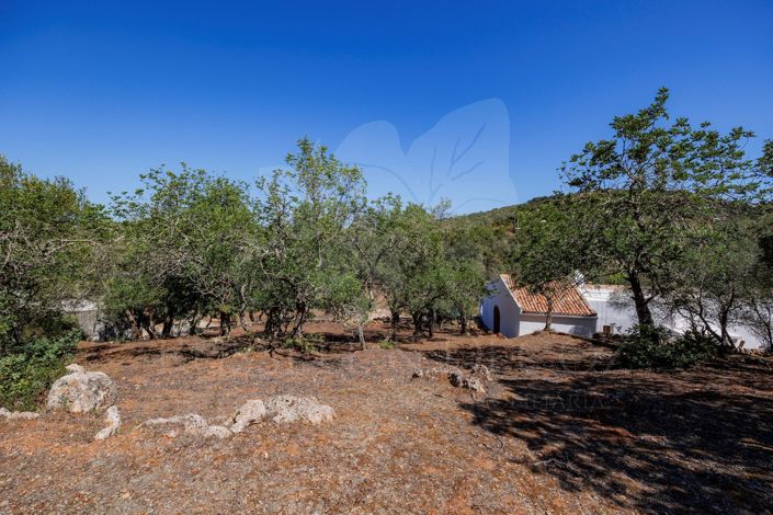 Image No.21-3 Bed Farmhouse for sale