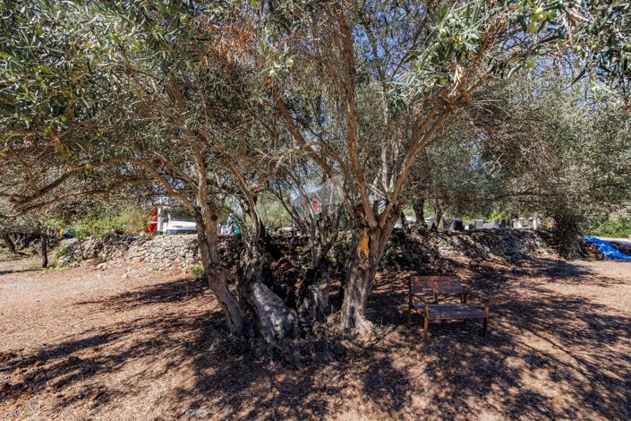 Image No.22-3 Bed Farmhouse for sale